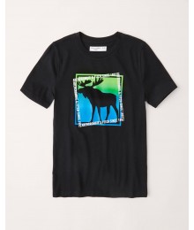 Abercrombie Black With Green/Blue Square Reindeer Print Logo Tee